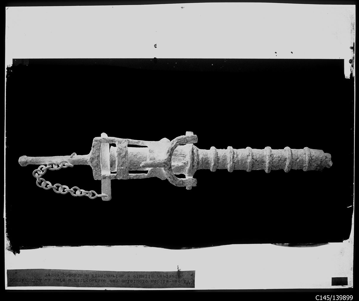 Torino - Armeria Reale - Artiglierie - 634 (negativo) di Anonimo (studio), Berra Bussolino Celestina - Berra Favale Gustava (studio) (XIX)