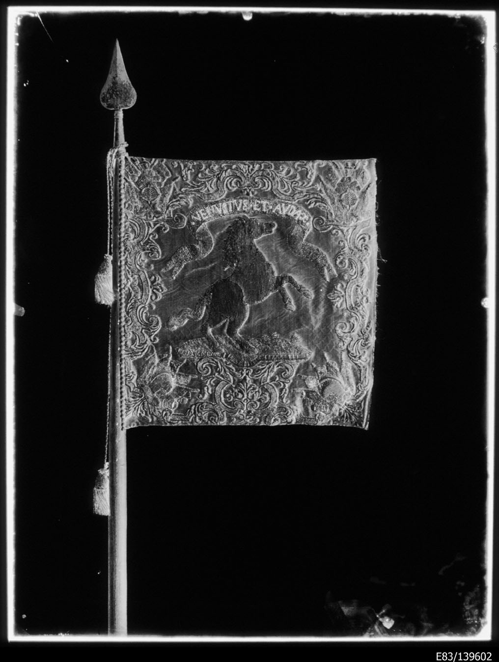 Torino - Armeria Reale - Bandiere - Stendardi - Stemmi - Carlo Emanuele III (negativo) di Anonimo (secondo quarto XX)