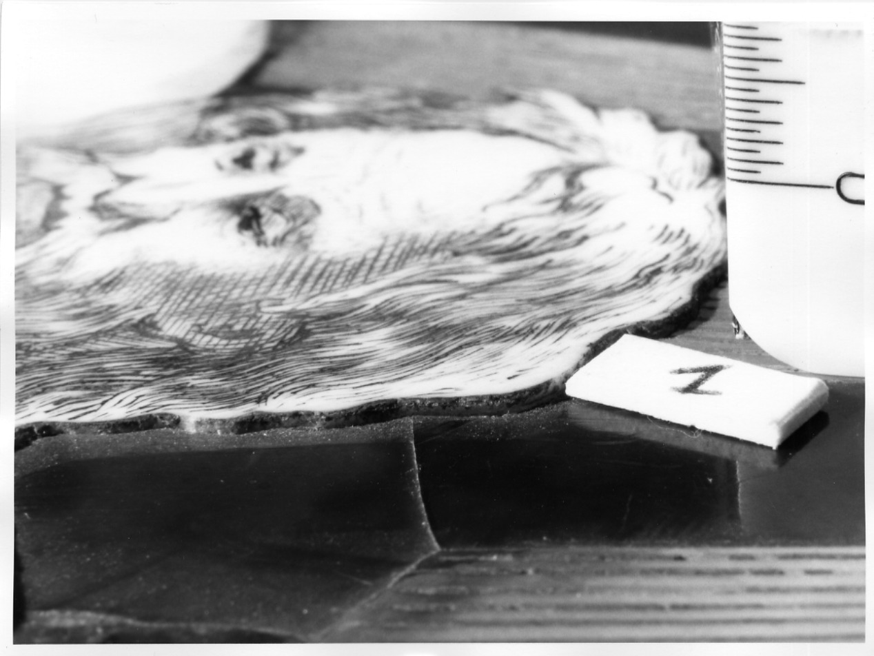 Arredi - mobili (positivo) di Gonella Foto s.n.c (fine XX)