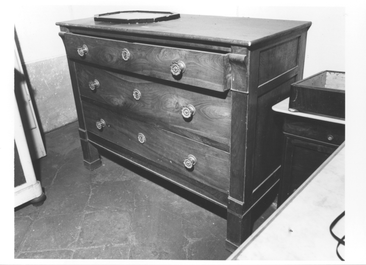 cassettone, opera isolata - bottega piemontese (seconda metà sec. XIX)