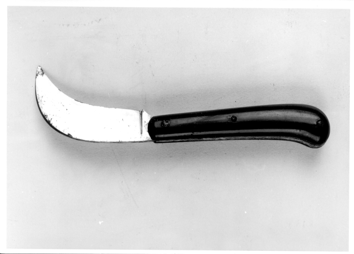 coltello, opera isolata - manifattura europea (fine/inizio secc. XIX/ XX)