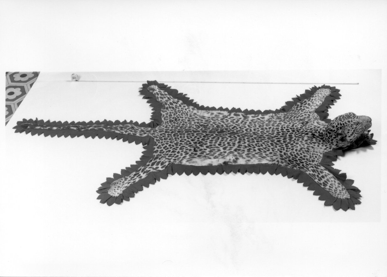 gualdrappa, opera isolata - manifattura italiana (fine/inizio secc. XIX/ XX)