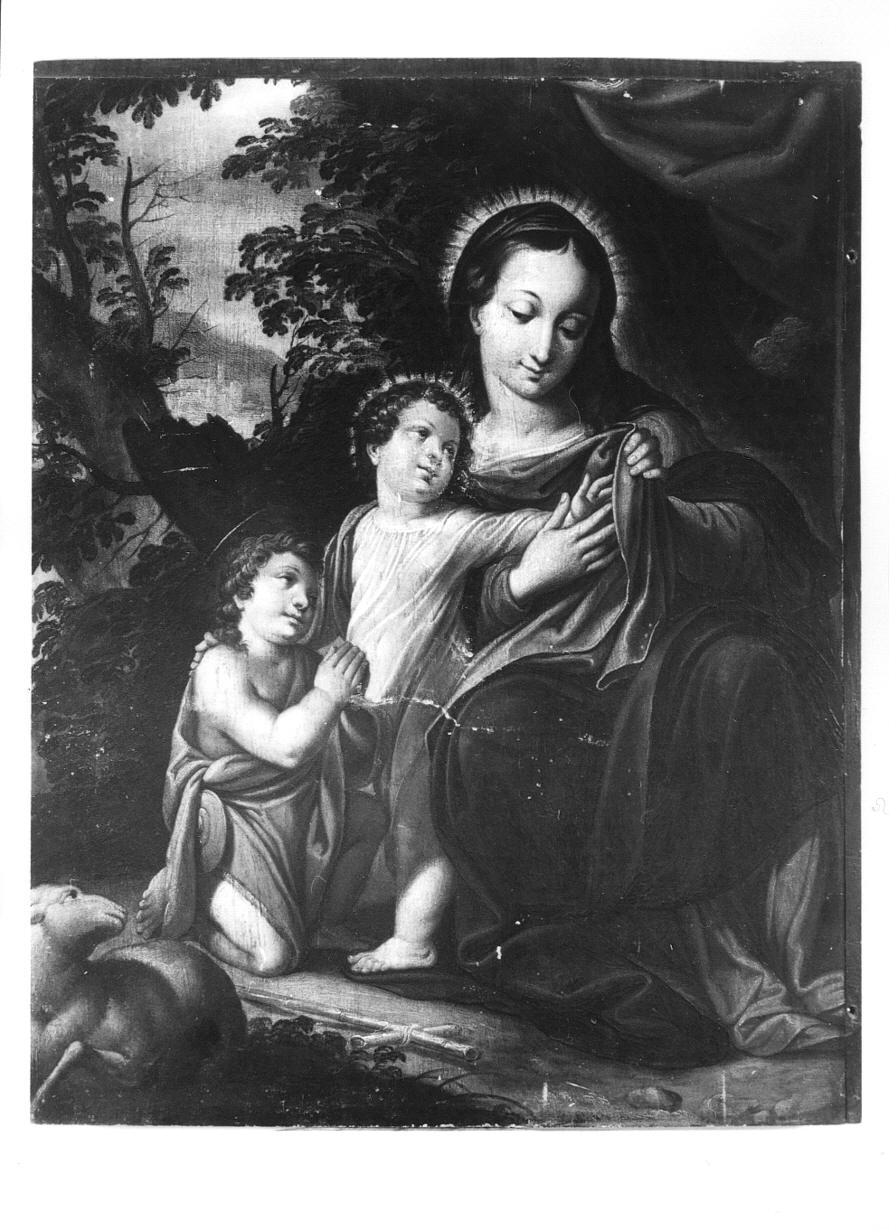 Madonna con Bambino e San Giovannino (dipinto, opera isolata) - ambito cremonese (seconda metà sec. XVI)