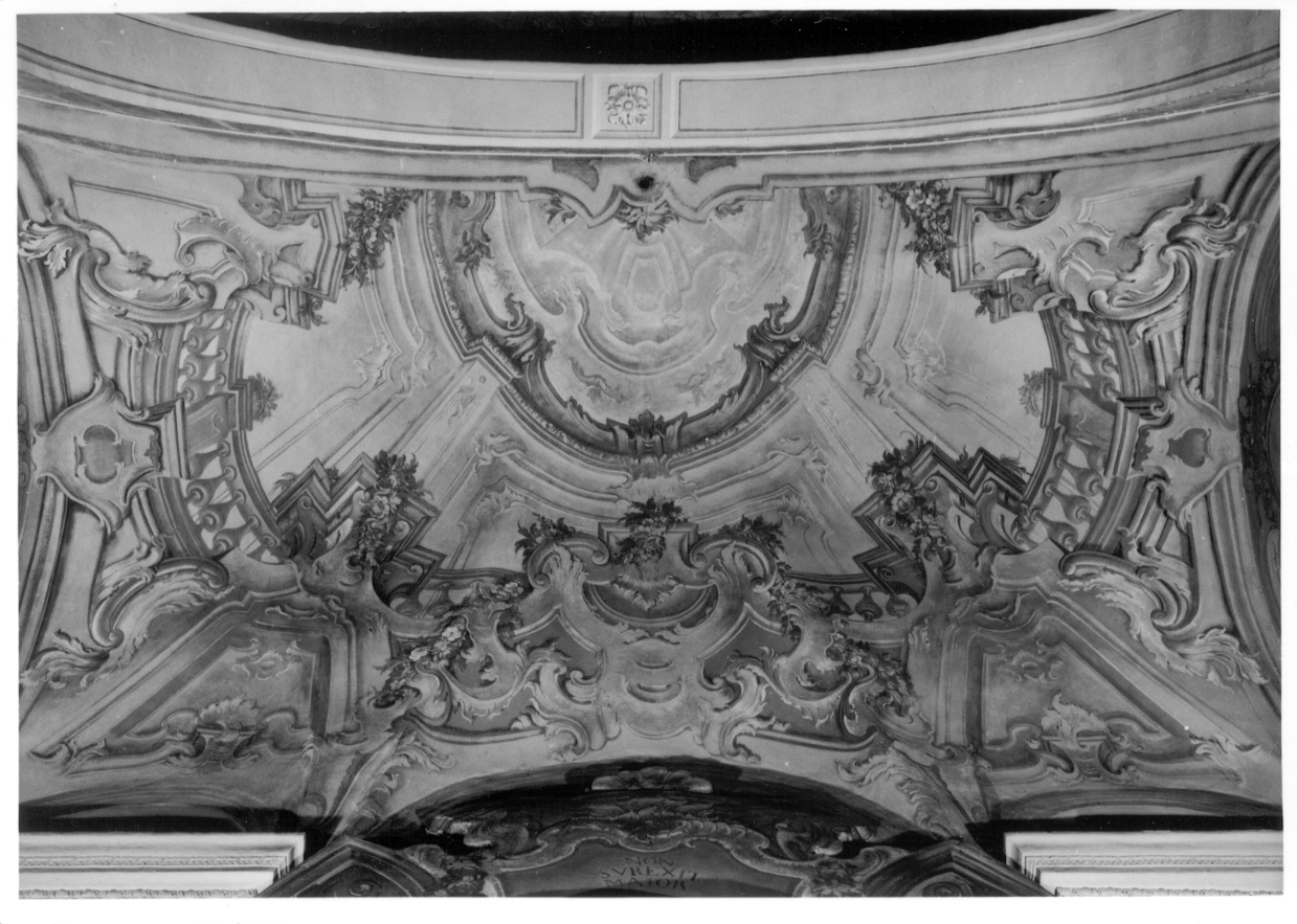 architettura illusionistica e motivi decorativi vegetali (decorazione pittorica, complesso decorativo) di Peracino Lorenzo il Vecchio (terzo quarto sec. XVIII)