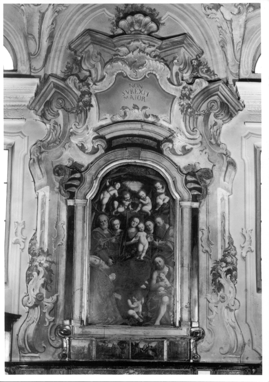 architettura illusionistica con motivi decorativi vegetali (decorazione pittorica, elemento d'insieme) di Peracino Lorenzo il Vecchio (terzo quarto sec. XVIII)
