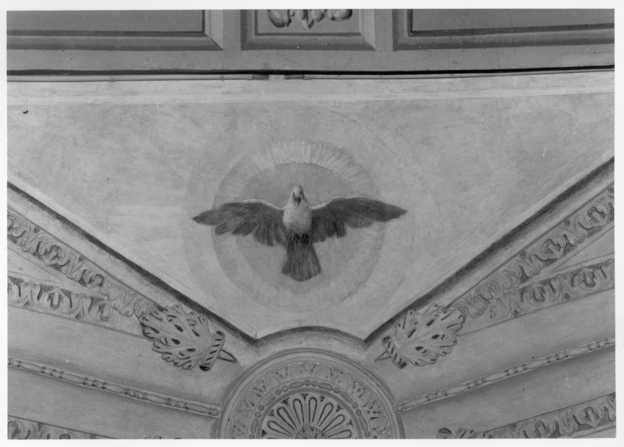 colomba dello Spirito Santo (dipinto) di D'Enrico Antonio di Giovanni detto Tanzio da Varallo, D'Enrico Melchiorre (secondo quarto sec. XVII)