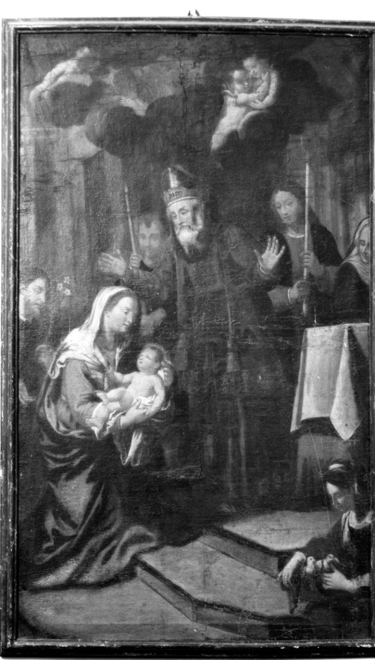 presentazione di Gesù al tempio (dipinto, opera isolata) - ambito piemontese (metà sec. XVII)