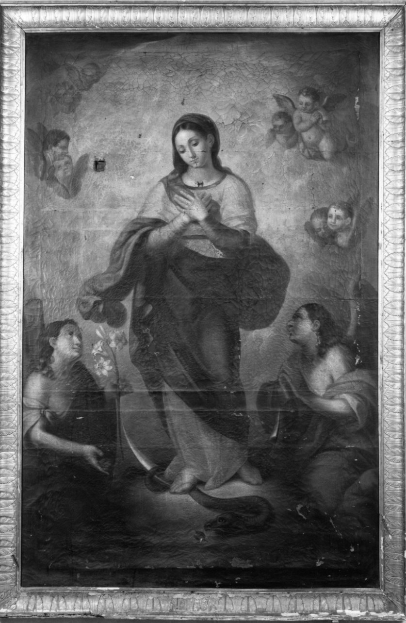 Immacolata Concezione (dipinto, opera isolata) di Caboni Antonio (secondo quarto sec. XIX)