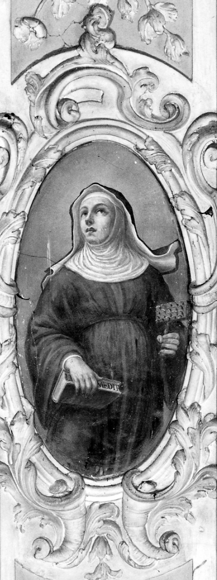 motivi decorativi a girali vegetali (decorazione plastica, serie) di Beltramelli Domenico (fine/inizio secc. XVII/ XVIII)