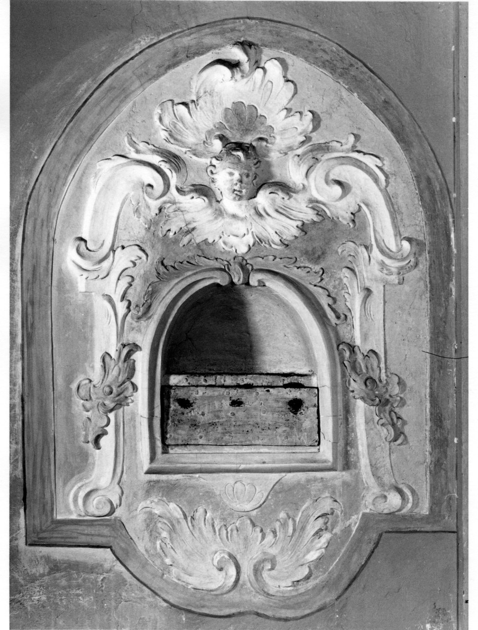 motivi decorativi vegetali con cherubino (mostra, opera isolata) - bottega ligure (seconda metà sec. XVIII)