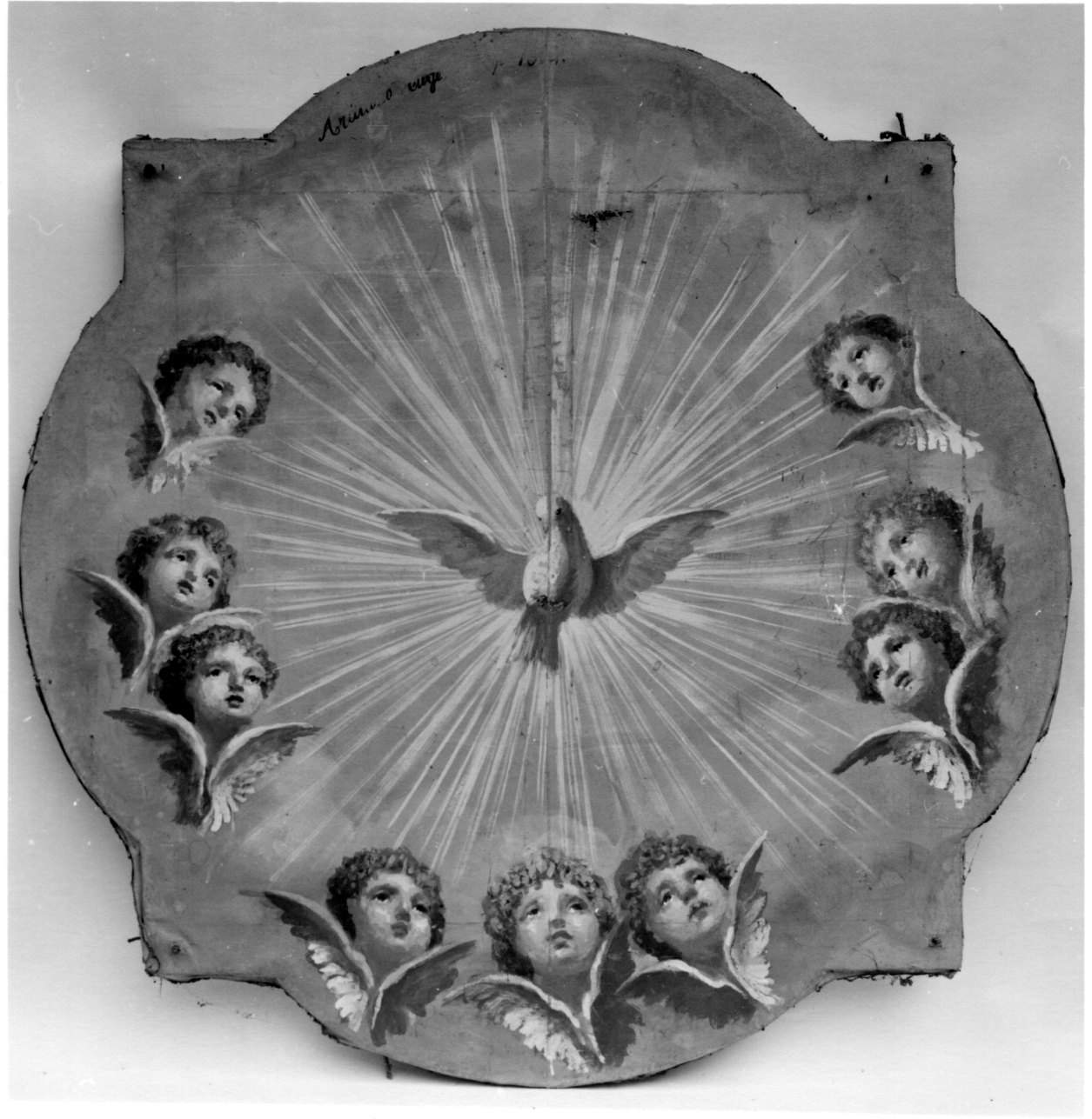 colomba dello Spirito Santo e cherubini (dipinto, opera isolata) di Arduino Eugenio (sec. XIX)