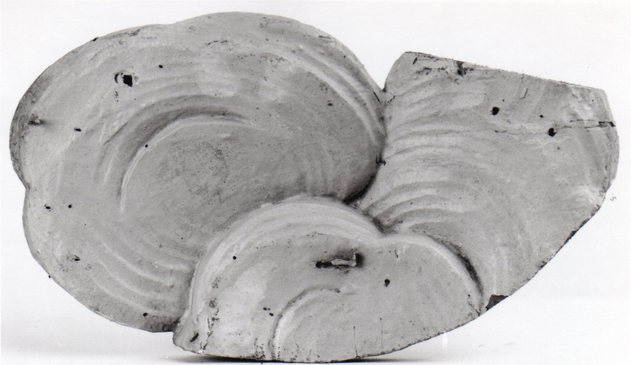 base di scultura, frammento - bottega piemontese (seconda metà sec. XVIII)