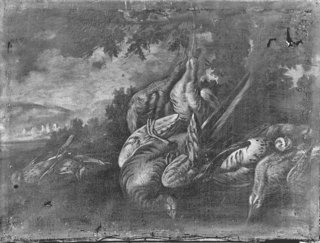 natura morta con cacciagione (dipinto, opera isolata) - ambito lombardo (prima metà sec. XVIII)