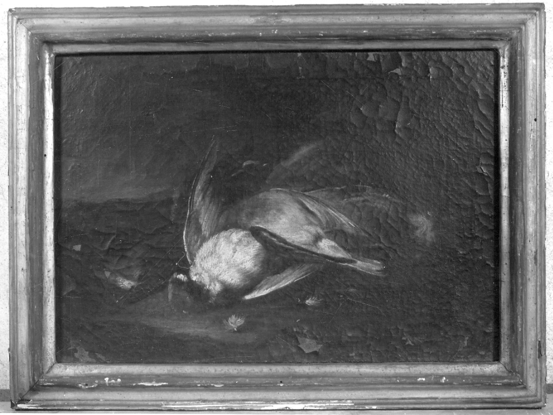 natura morta con cacciagione (dipinto, opera isolata) di Boselli Felice (maniera) (fine sec. XVII)