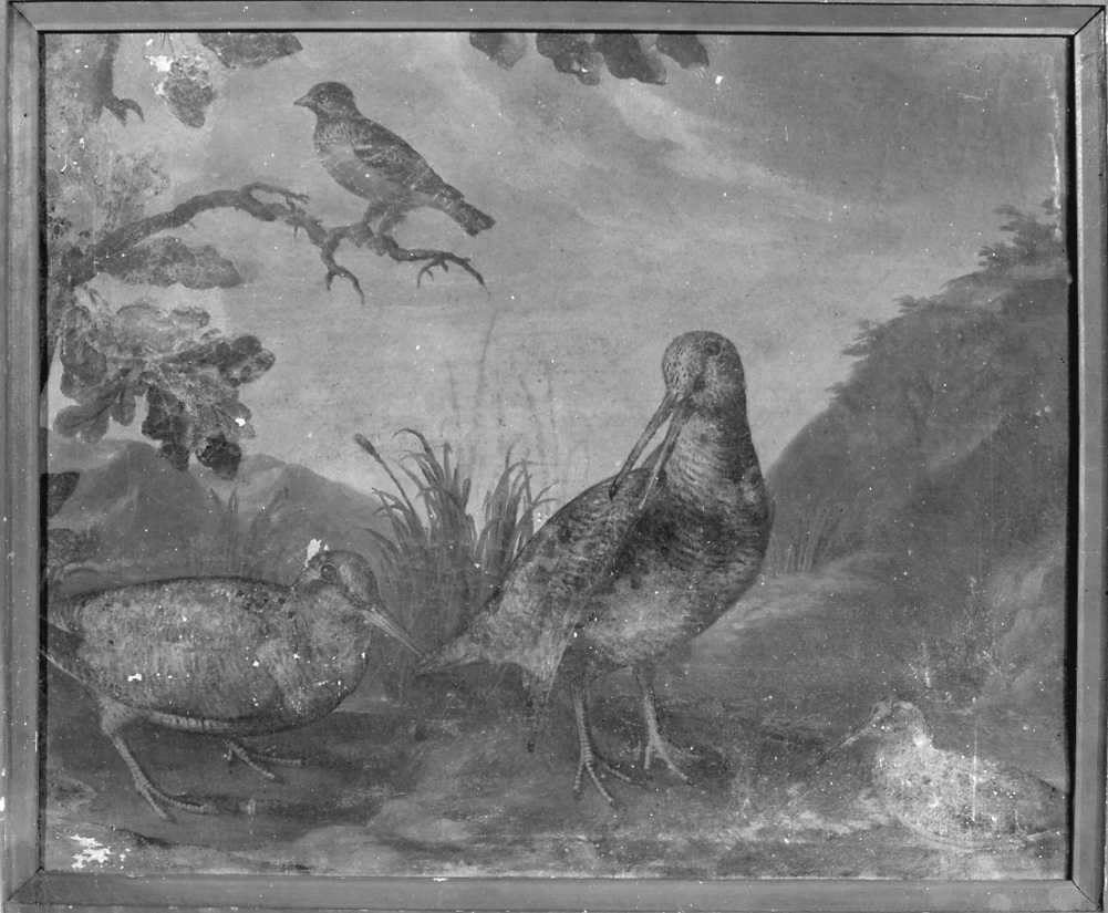 paesaggio con uccelli (dipinto, opera isolata) - ambito piemontese (fine sec. XVIII)