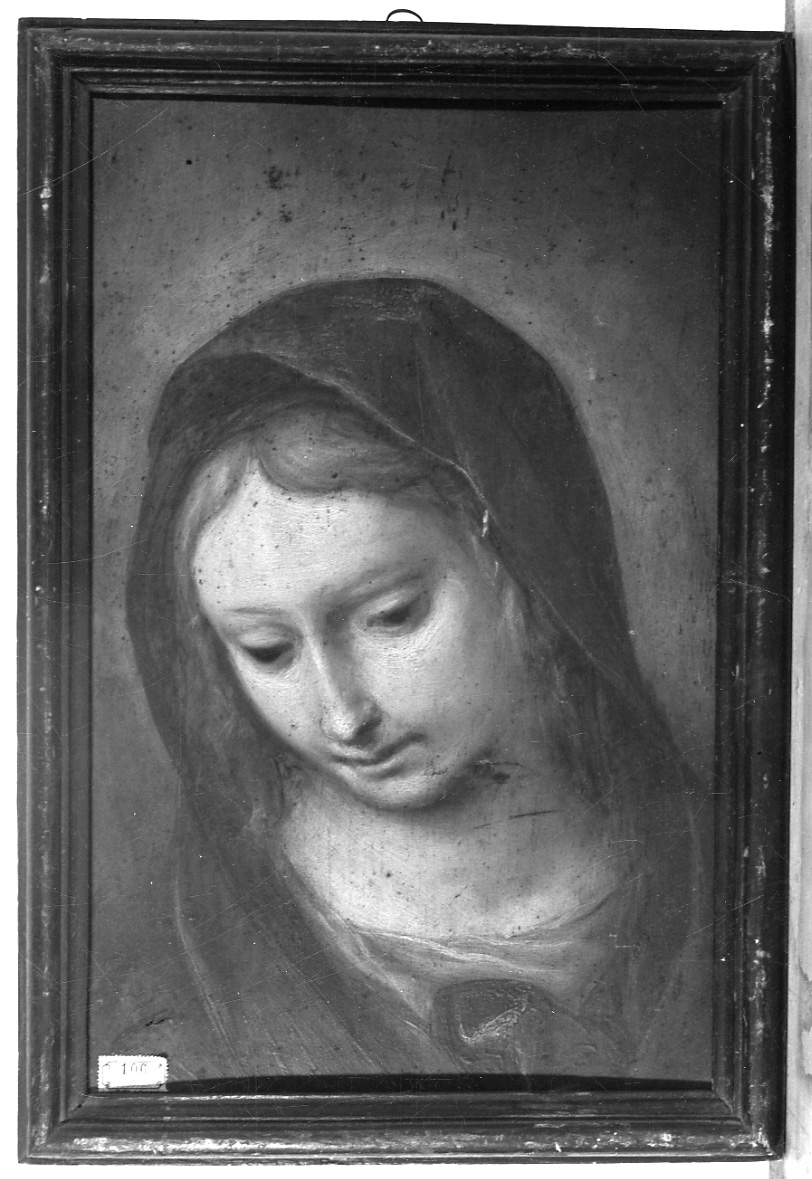 Madonna (dipinto, opera isolata) di Dolci Carlo (maniera) (prima metà sec. XVII)