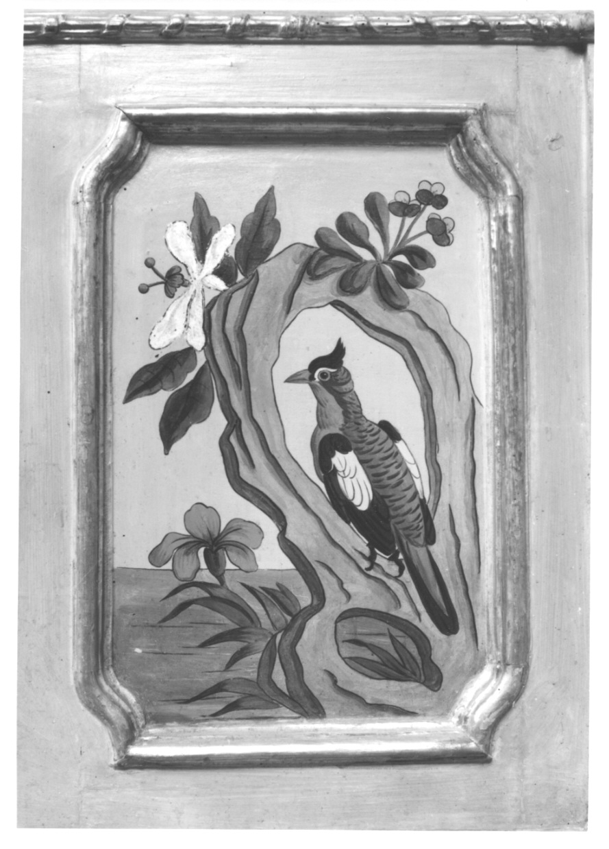 volatili e animali con vegetazione orientaleggiante (dipinto, elemento d'insieme) di Wehrlin Cristiano (terzo quarto sec. XVIII)