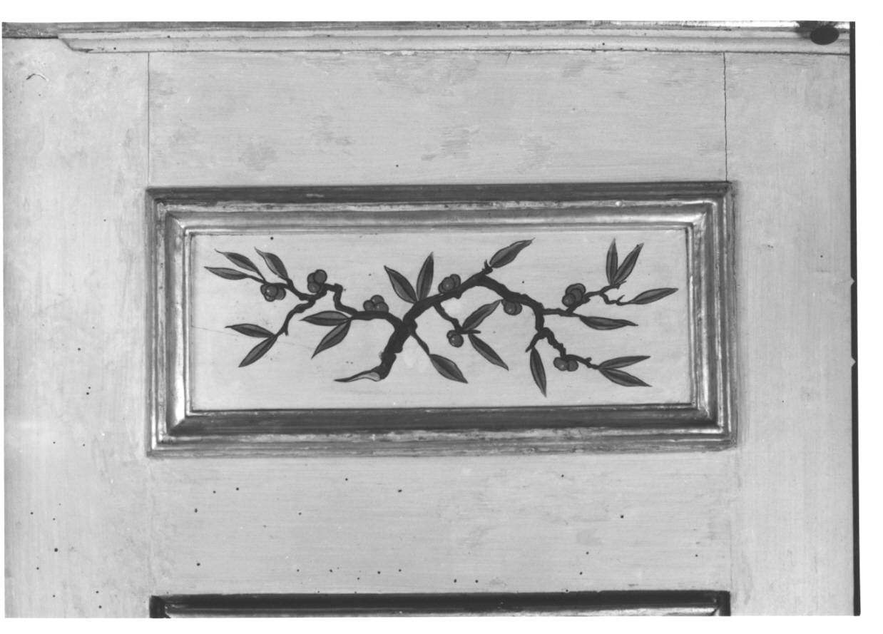 volatili e animali con vegetazione orientaleggiante (elemento decorativo, elemento d'insieme) di Wehrlin Cristiano (terzo quarto sec. XVIII)