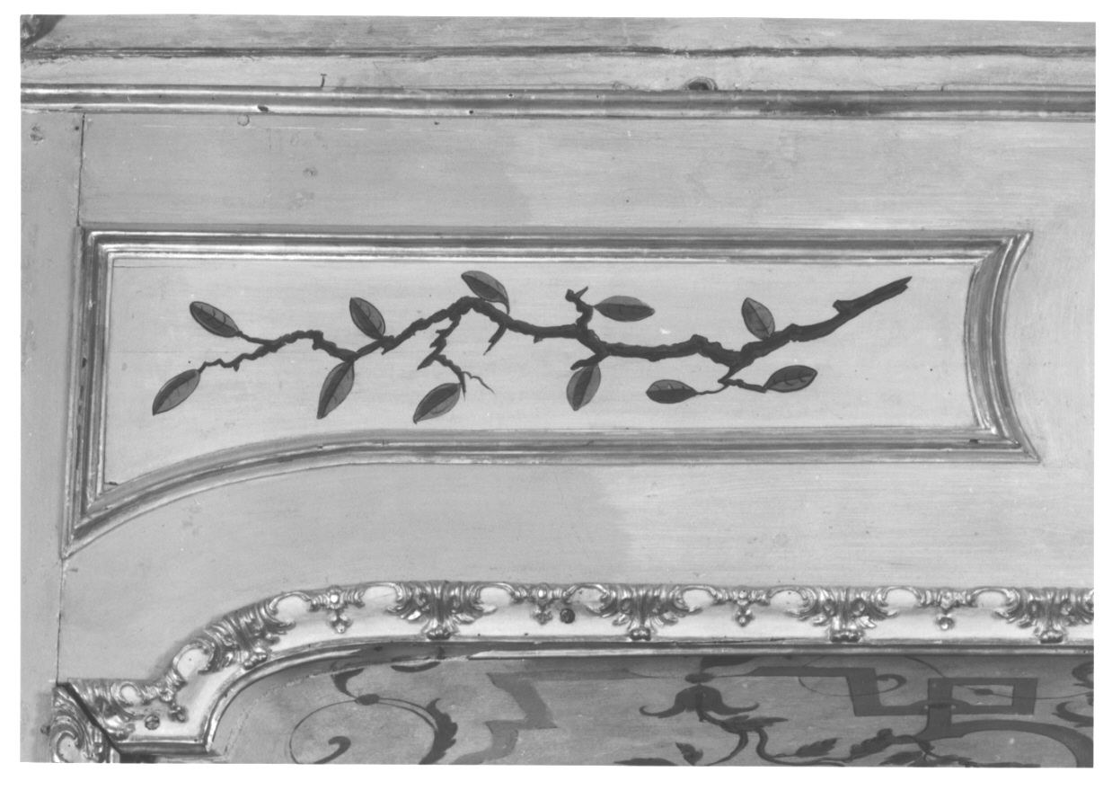 volatili e animali con vegetazione orientaleggiante (elemento decorativo, elemento d'insieme) di Wehrlin Cristiano (terzo quarto sec. XVIII)