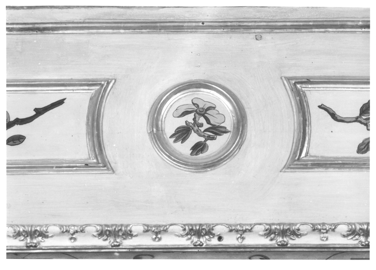 volatili e animali con vegetazione orientaleggiante (elemento decorativo, elemento d'insieme) di Wehrlin Cristiano (terzo quarto sec. XVIII)