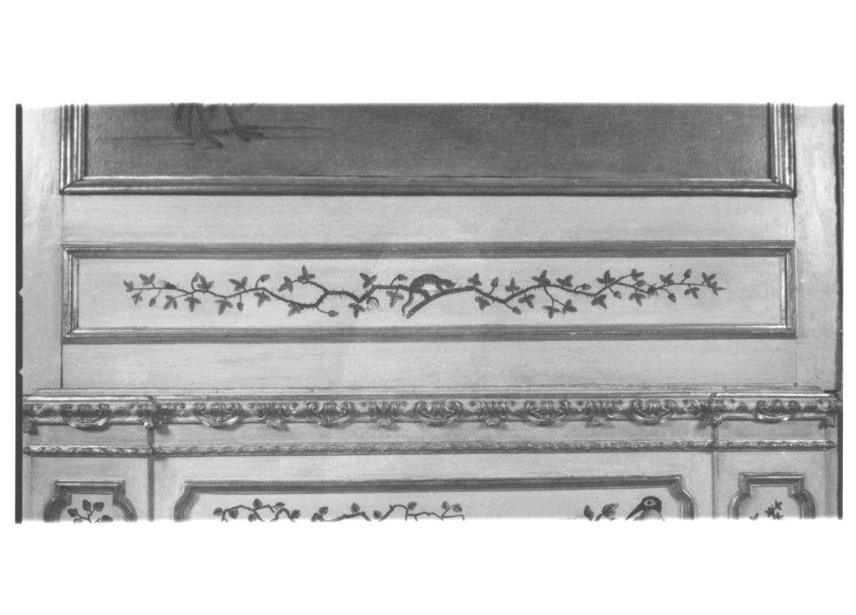 volatili e animali con vegetazione orientaleggiante (elemento decorativo, elemento d'insieme) di Wehrlin Cristiano (terzo quarto sec. XVIII)