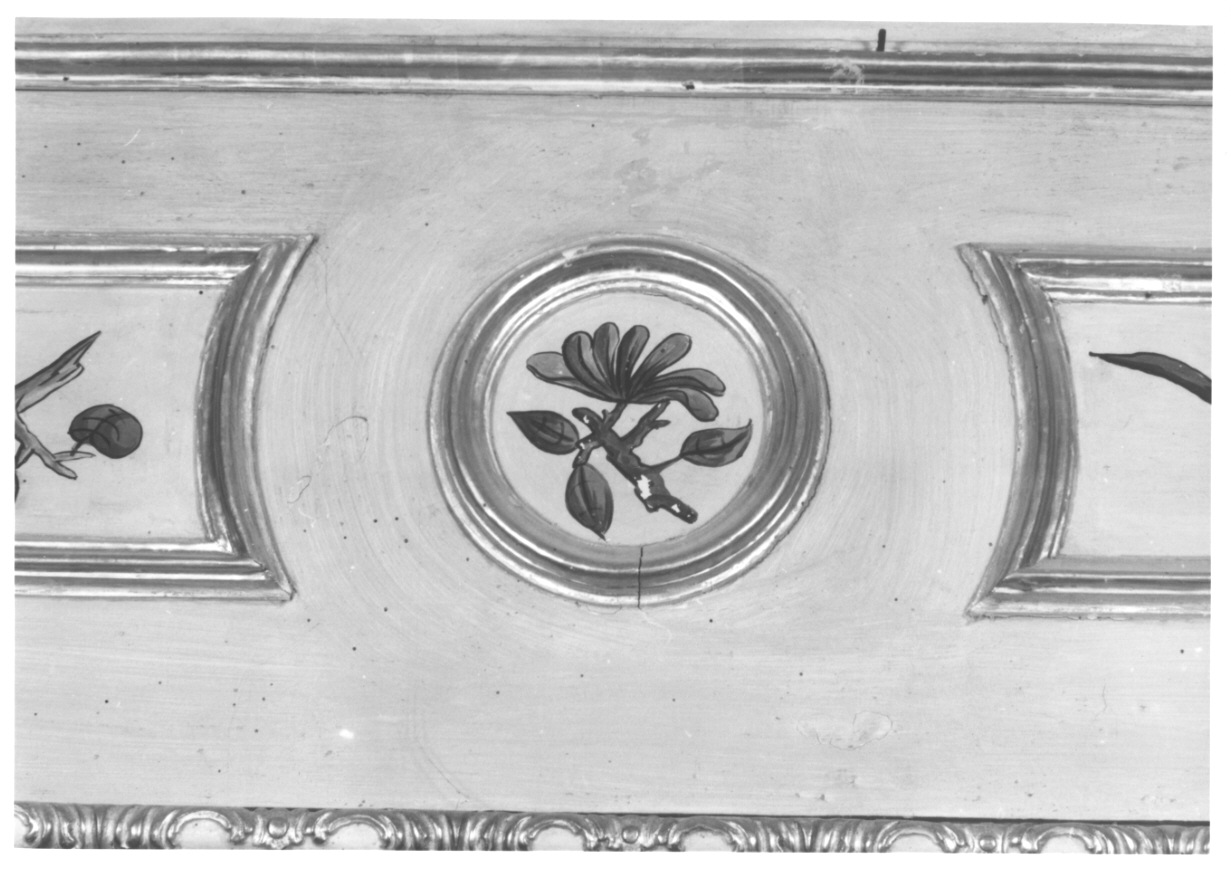 volatili e animali con vegetazione orientaleggiante (elemento decorativo, elemento d'insieme) di Wehrlin Cristiano (terzo quarto sec. XVIII)
