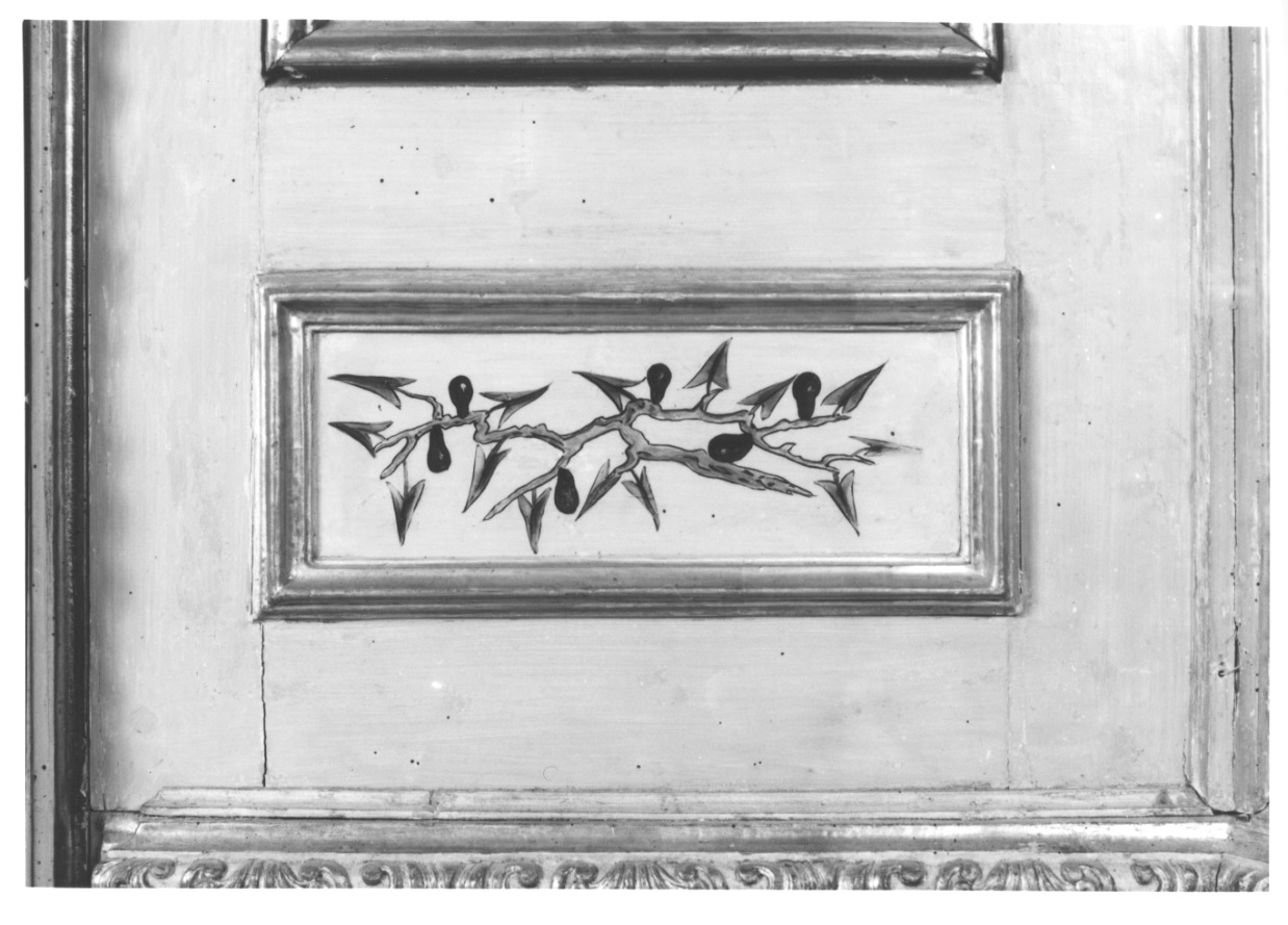 volatili e animali con vegetazione orientaleggiante (elemento decorativo, elemento d'insieme) di Wehrlin Cristiano (terzo quarto sec. XVIII)