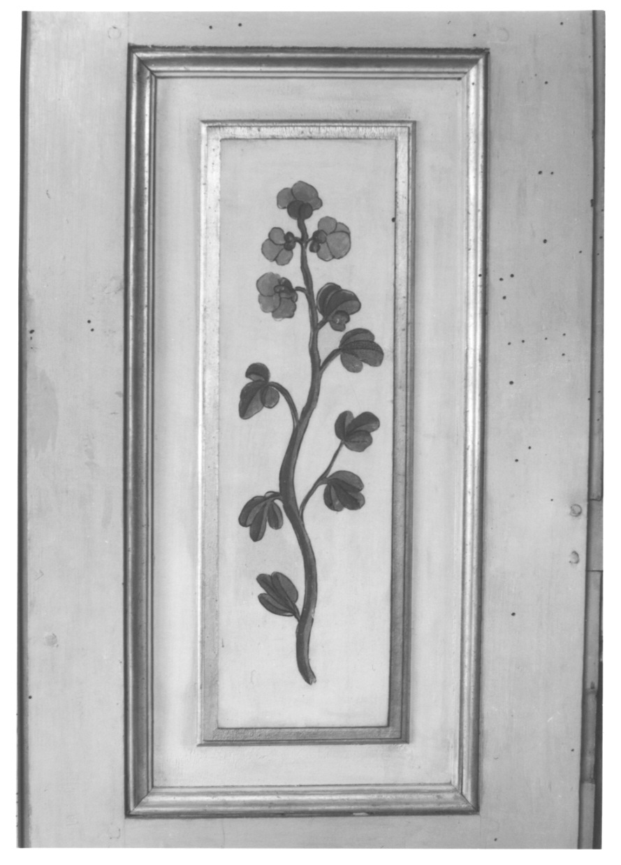 volatili e animali con vegetazione orientaleggiante (elemento decorativo, elemento d'insieme) di Wehrlin Cristiano - ambito piemontese (terzo quarto sec. XVIII)