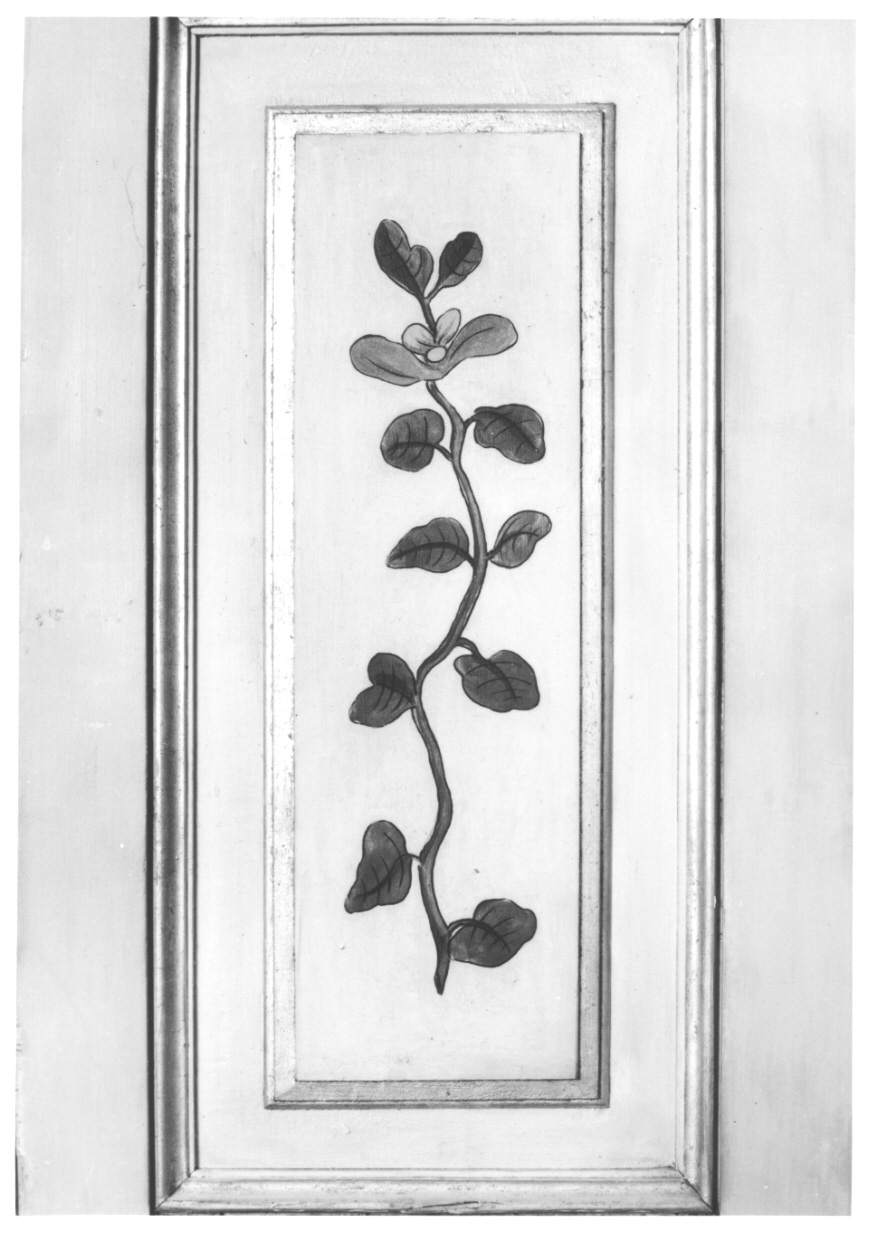 volatili e animali con vegetazione orientaleggiante (elemento decorativo, elemento d'insieme) di Wehrlin Cristiano - ambito piemontese (terzo quarto sec. XVIII)