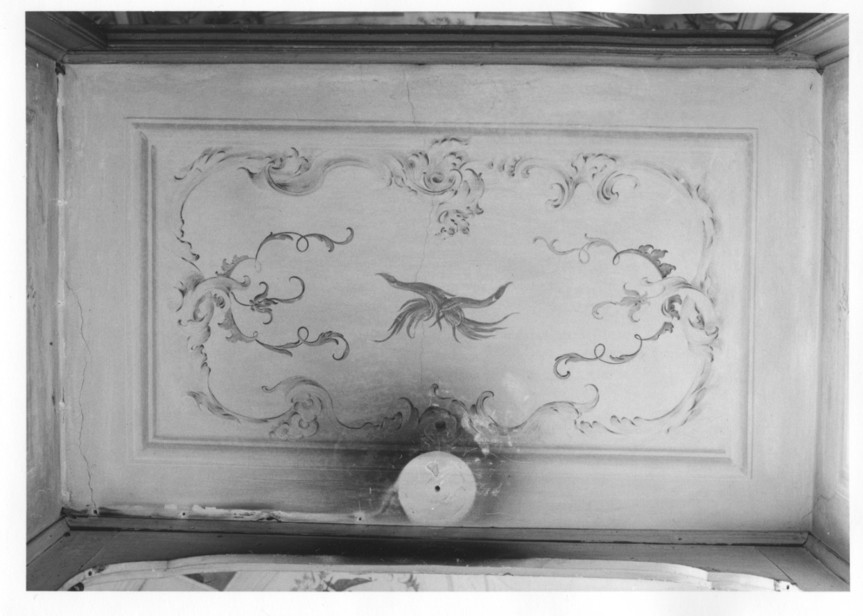 motivi decorativi a volute (decorazione pittorica, elemento d'insieme) di Alberoni Giovanni Battista (metà sec. XVIII)