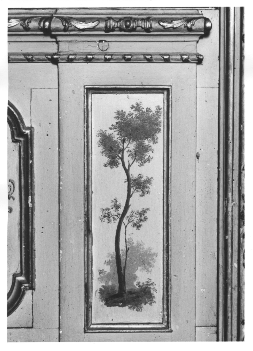 ALBERI (dipinto, elemento d'insieme) di Alberoni Giovanni Battista (terzo quarto sec. XVIII)