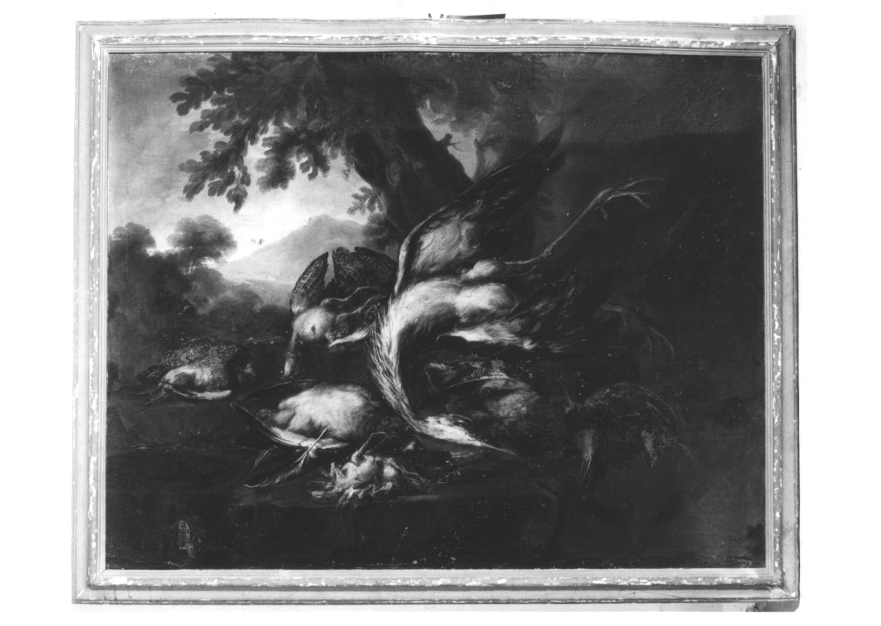 NATURA MORTA CON CACCIAGIONE (dipinto, opera isolata) di Crivelli Giovanni detto Crivellino (secondo quarto sec. XVIII)
