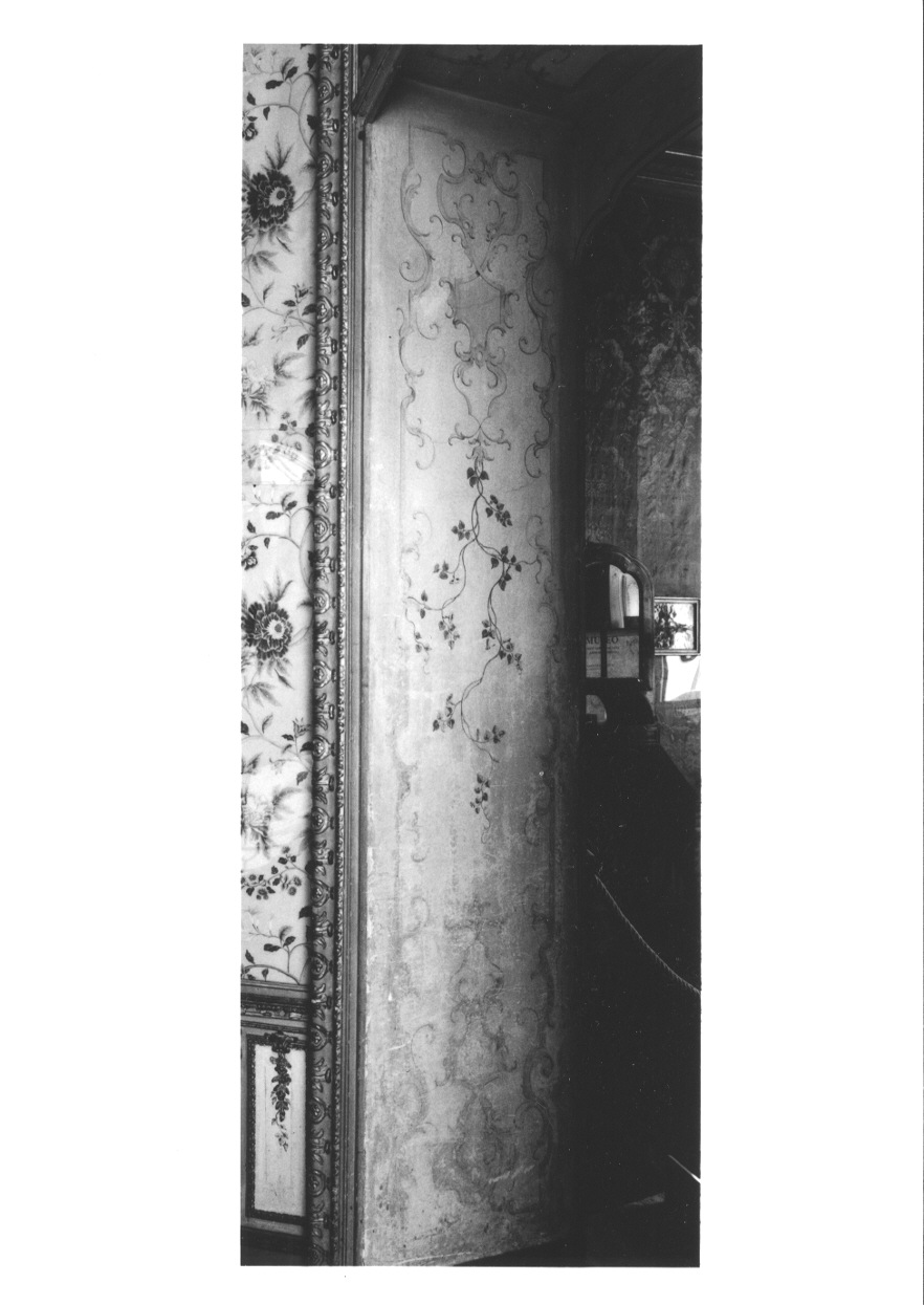 MOTIVI DECORATIVI VEGETALI (stipite di porta, serie) di Pozzo Giovanni Pietro (attribuito) (terzo quarto sec. XVIII)