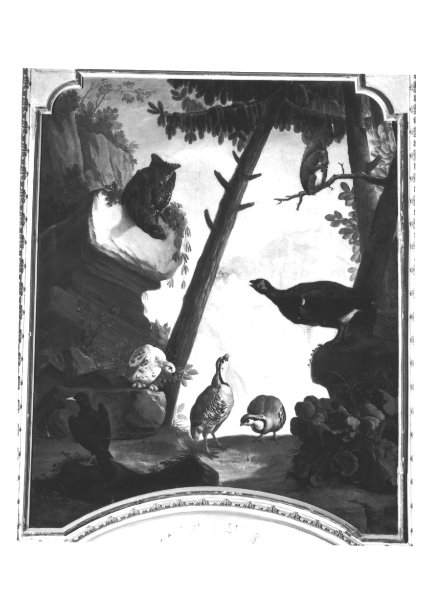 UCCELLI (sovrapporta, opera isolata) di Wehrlin Cristiano (attribuito) (terzo quarto sec. XVIII)