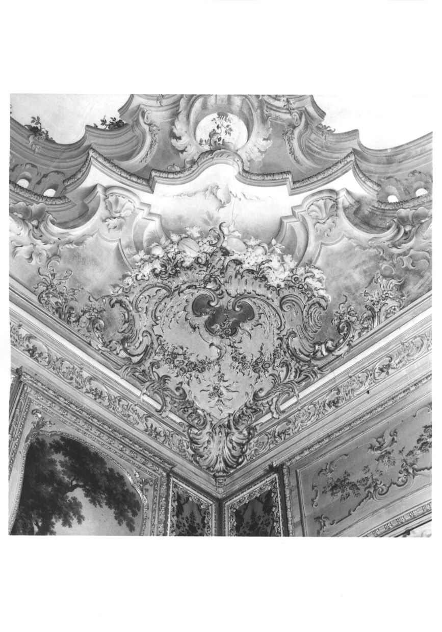 MOTIVI DECORATIVI VEGETALI (decorazione plastico-pittorica, opera isolata) di Pozzo Giovanni Pietro (attribuito), Pozzo Pietro Antonio (attribuito) - ambito piemontese (terzo quarto sec. XVIII)