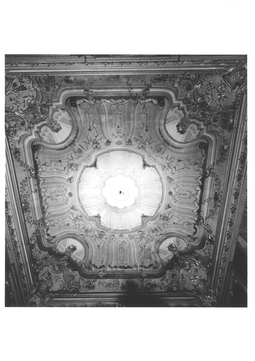 MOTIVI DECORATIVI VEGETALI (dipinto, opera isolata) di Borri Giacomo (attribuito) - ambito piemontese (terzo quarto sec. XVIII)