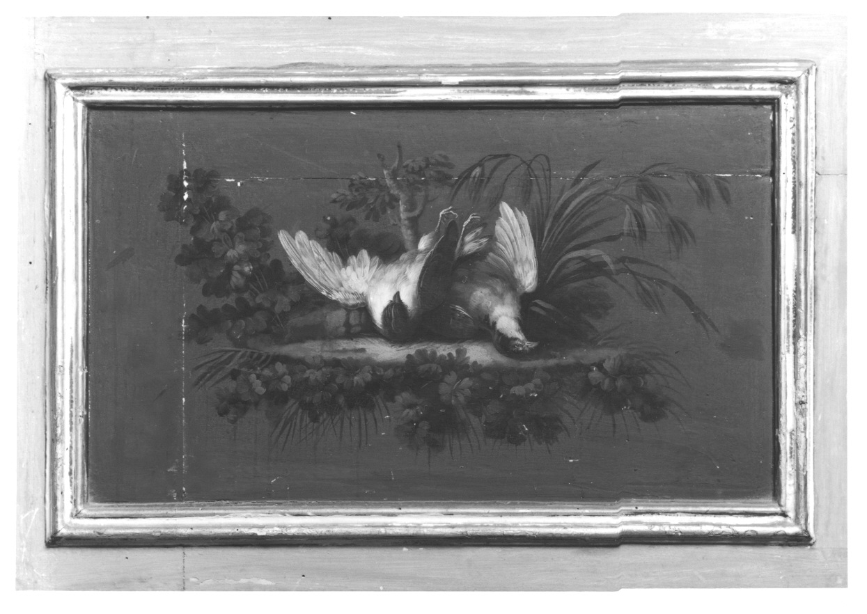 NATURA MORTA CON CACCIAGIONE (dipinto, elemento d'insieme) di Vacca Angelo (fine sec. XVIII)