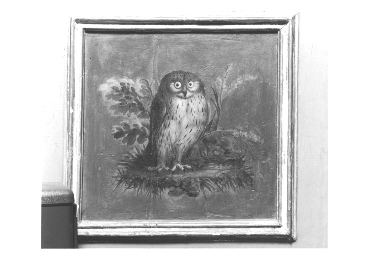 GUFO (dipinto, elemento d'insieme) di Vacca Angelo (fine sec. XVIII)