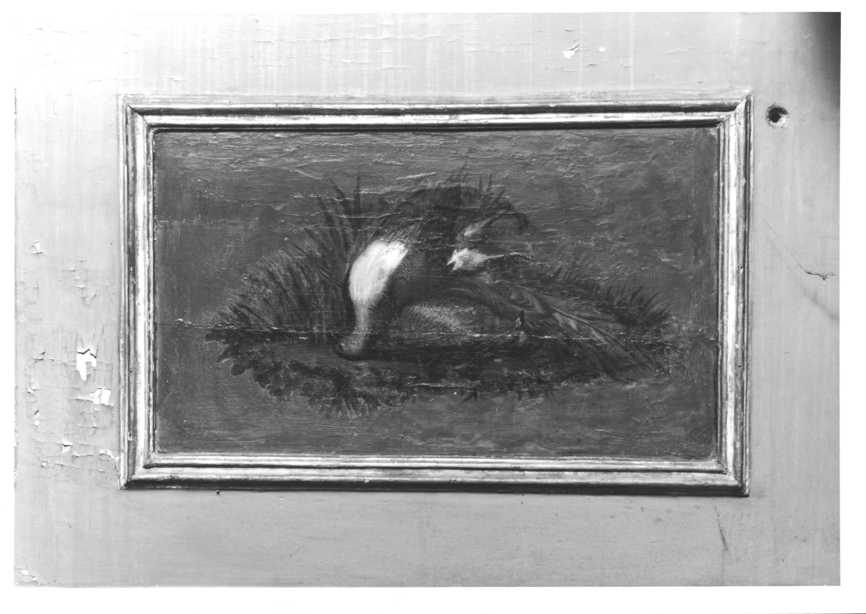 NATURA MORTA CON CACCIAGIONE (dipinto, elemento d'insieme) di Vacca Angelo (fine sec. XVIII)
