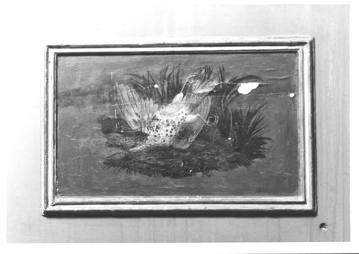 NATURA MORTA CON CACCIAGIONE (dipinto, elemento d'insieme) di Vacca Angelo (fine sec. XVIII)