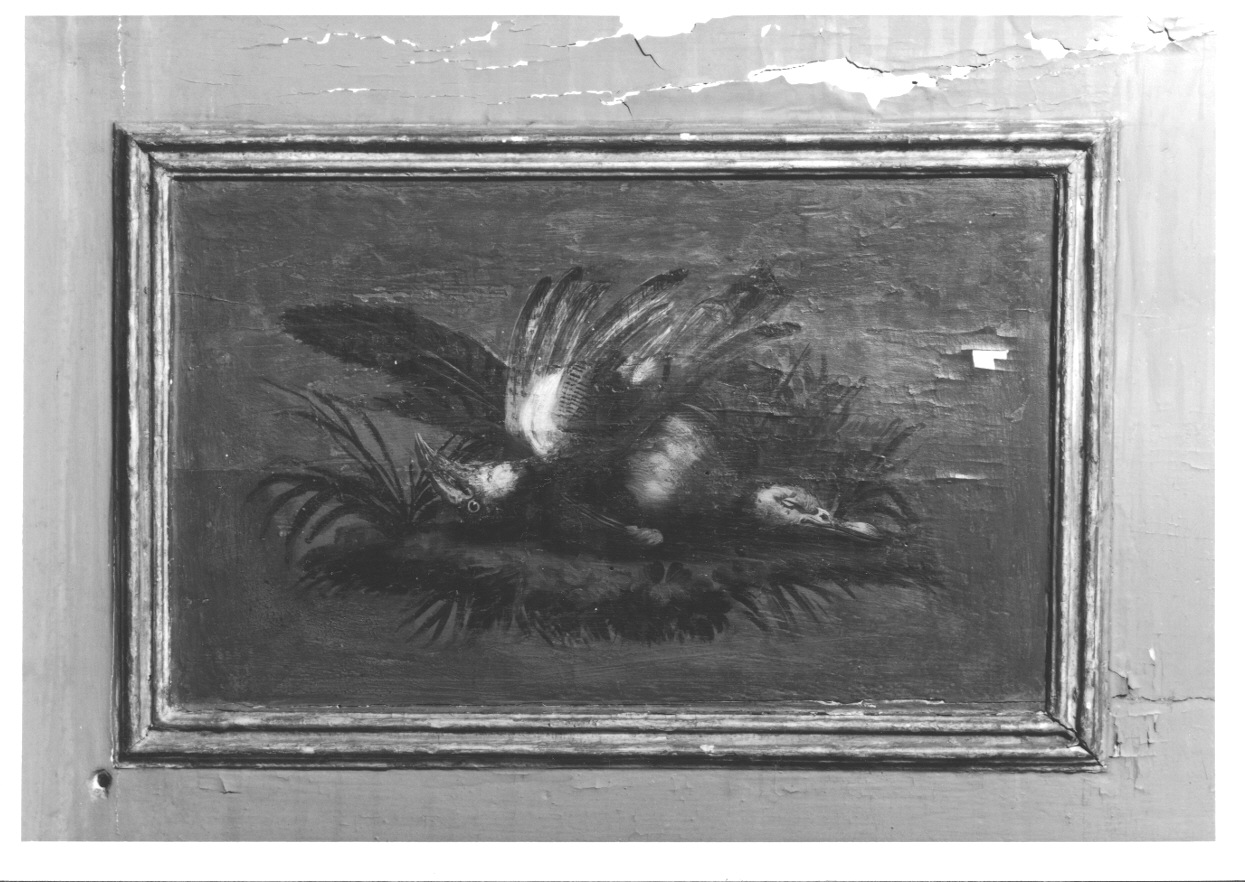 NATURA MORTA CON CACCIAGIONE (dipinto, elemento d'insieme) di Vacca Angelo (fine sec. XVIII)