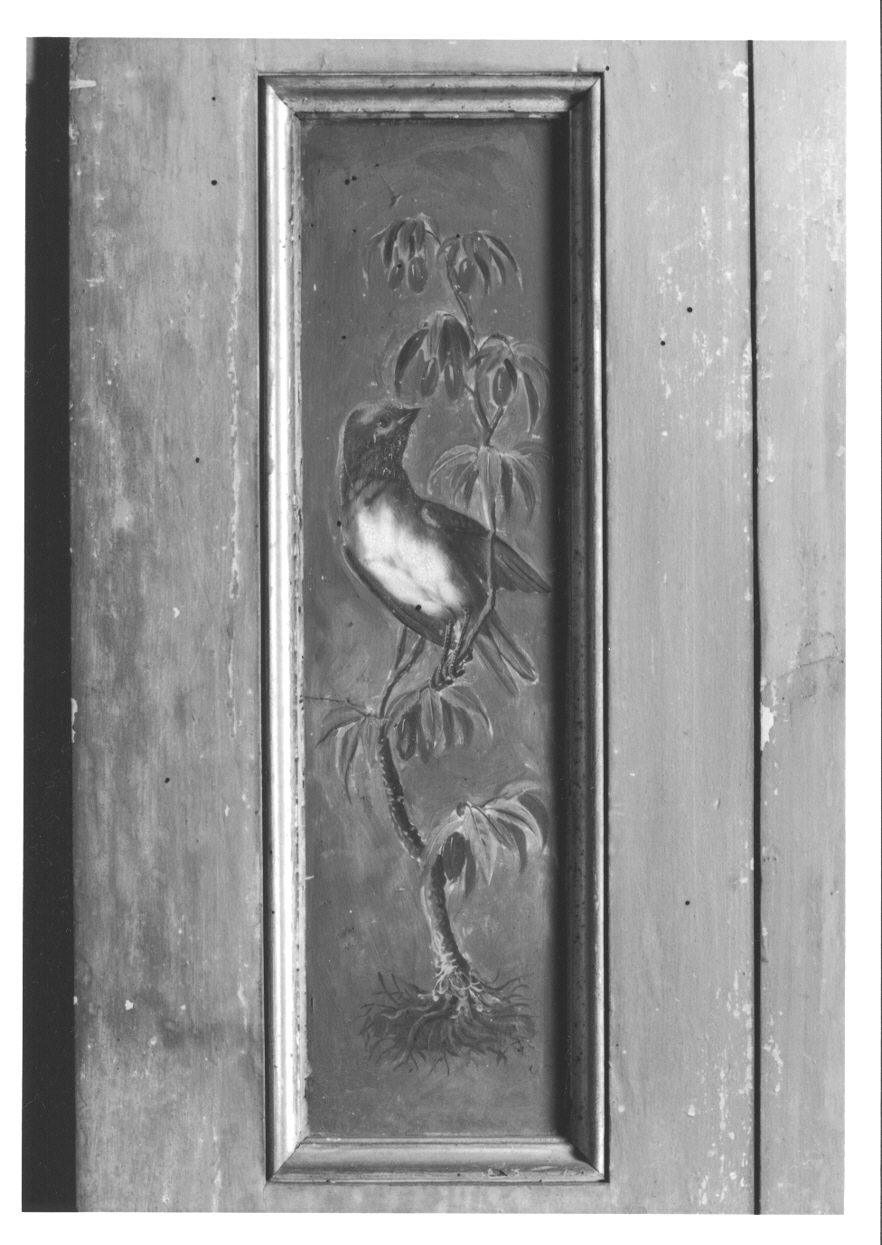 MOTIVI DECORATIVI VEGETALI CON UCCELLI (elemento decorativo, elemento d'insieme) di Vacca Angelo (bottega) (ultimo quarto sec. XVIII)