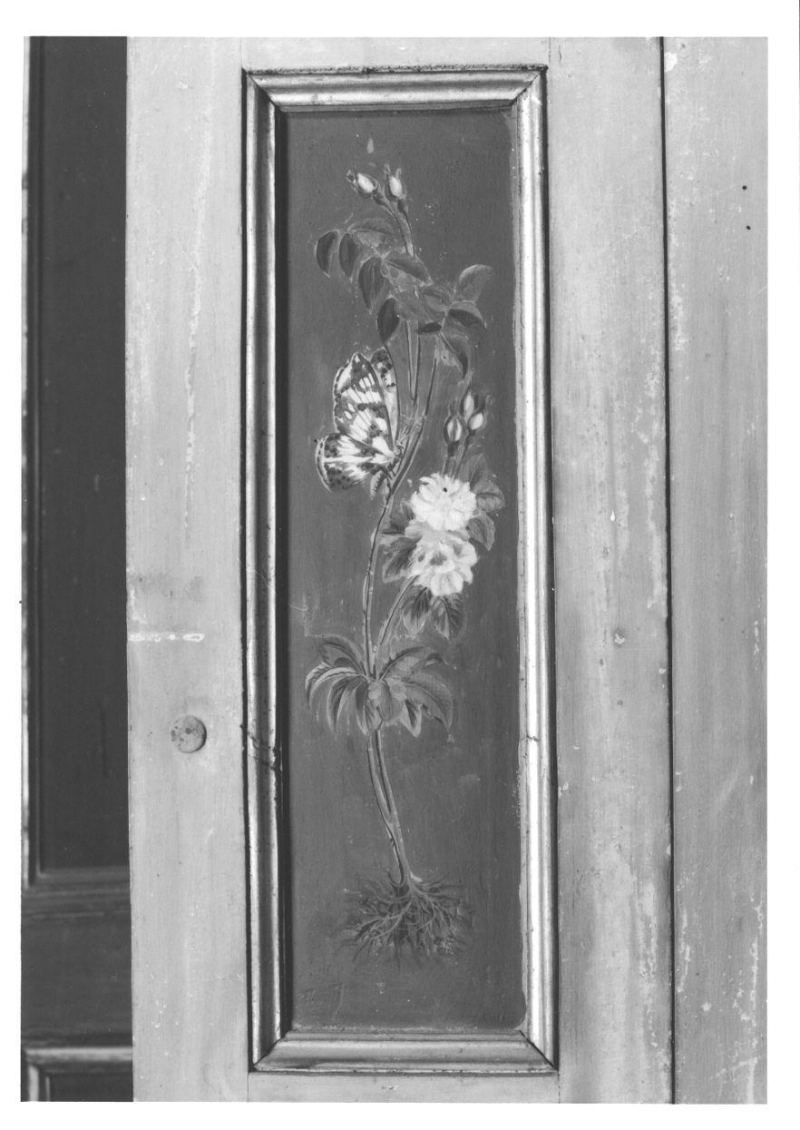 MOTIVI DECORATIVI VEGETALI E ANIMALI (elemento decorativo, elemento d'insieme) di Vacca Angelo (bottega) (ultimo quarto sec. XVIII)