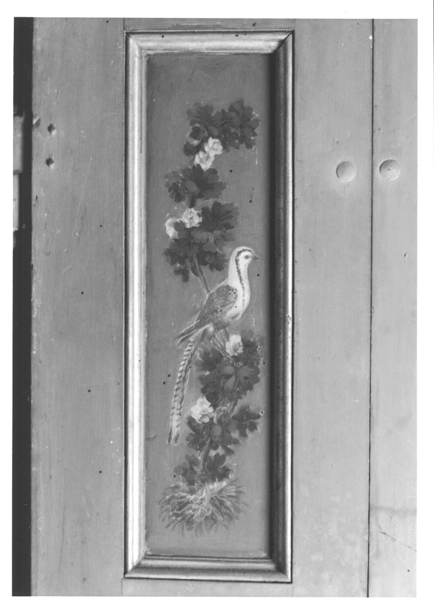 MOTIVI DECORATIVI VEGETALI CON UCCELLI (elemento decorativo, elemento d'insieme) di Vacca Angelo (bottega) (ultimo quarto sec. XVIII)