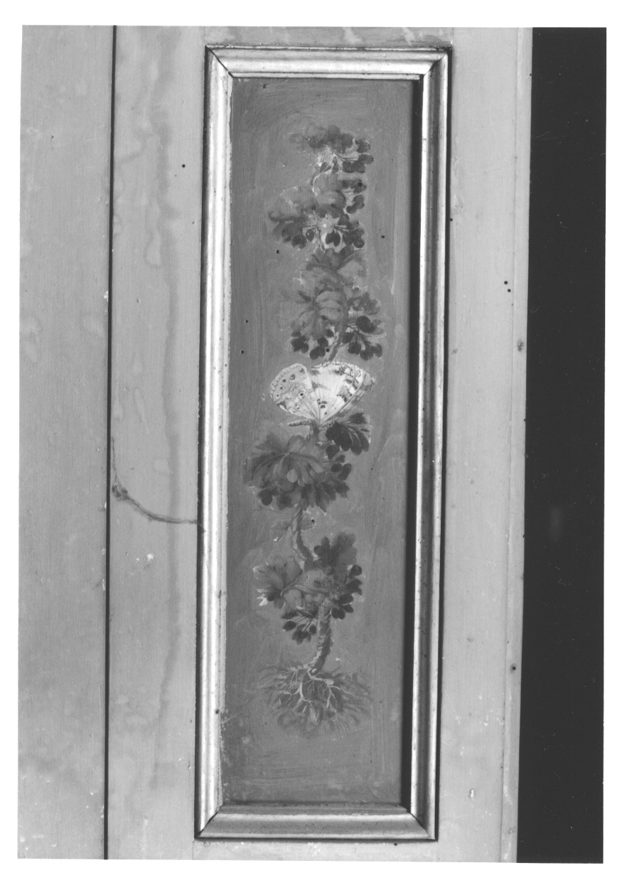 MOTIVI DECORATIVI VEGETALI E ANIMALI (elemento decorativo, elemento d'insieme) di Vacca Angelo (bottega) (ultimo quarto sec. XVIII)