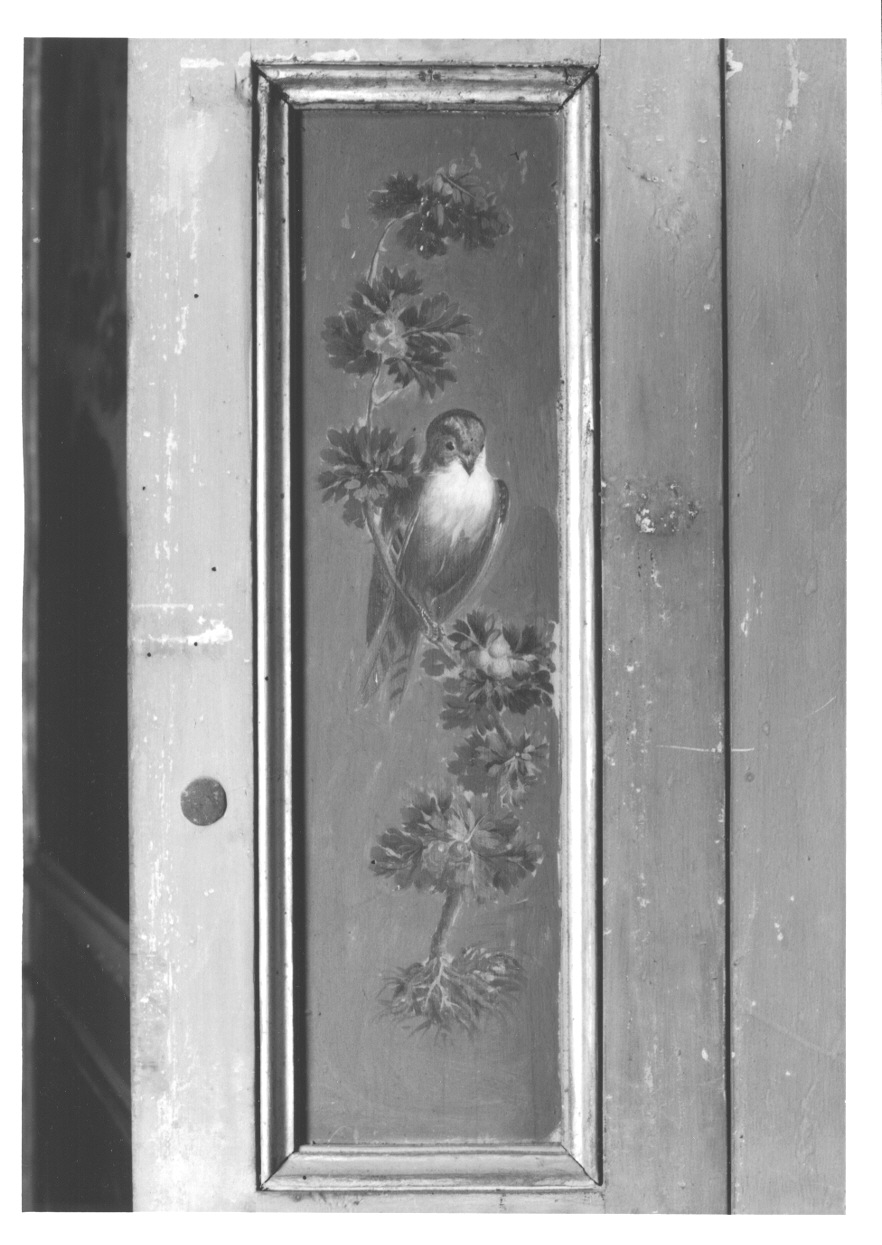 MOTIVI DECORATIVI VEGETALI CON UCCELLI (elemento decorativo, elemento d'insieme) di Vacca Angelo (bottega) (ultimo quarto sec. XVIII)