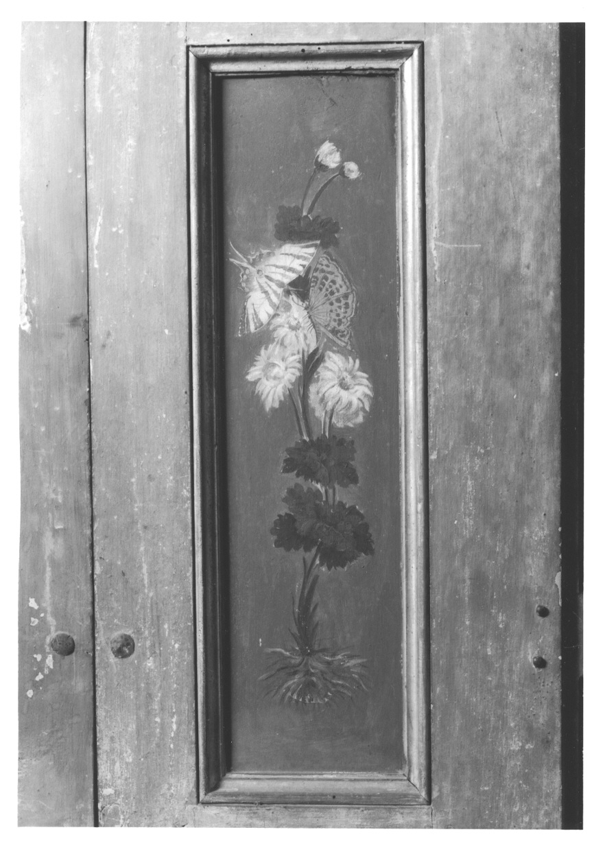 MOTIVI DECORATIVI VEGETALI E ANIMALI (elemento decorativo, elemento d'insieme) di Vacca Angelo (bottega) (ultimo quarto sec. XVIII)