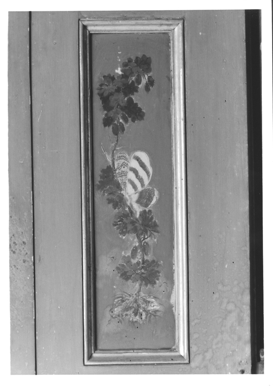 MOTIVI DECORATIVI VEGETALI E ANIMALI (elemento decorativo, elemento d'insieme) di Vacca Angelo (bottega) (ultimo quarto sec. XVIII)