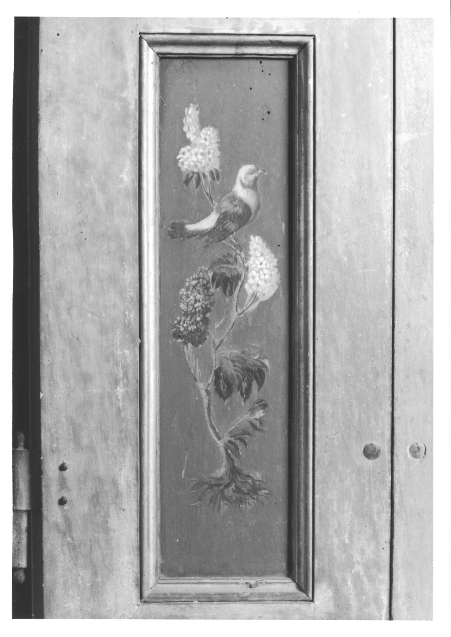 MOTIVI DECORATIVI VEGETALI CON UCCELLI (elemento decorativo, elemento d'insieme) di Vacca Angelo (bottega) (ultimo quarto sec. XVIII)