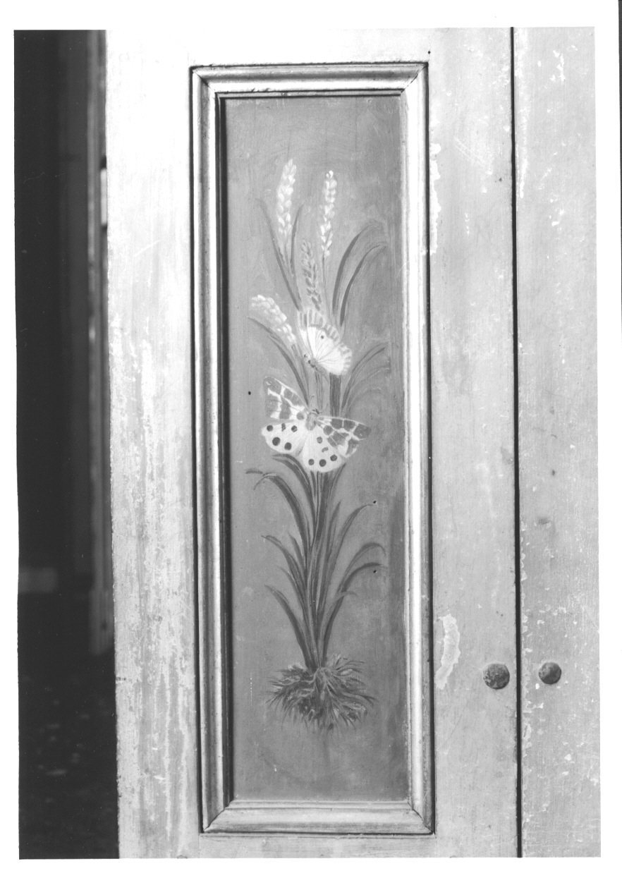 MOTIVI DECORATIVI VEGETALI E ANIMALI (elemento decorativo, elemento d'insieme) di Vacca Angelo (bottega) (ultimo quarto sec. XVIII)